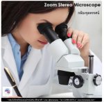กล้องไมโครสโคป ,Stereo Microscope