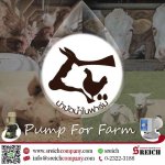 ปั๊มจ่ายสารละลาย คลอรีน วิตามิน จุลินทรีย์ สำหรับฟาร์ม ปศุสัตว์ Pump for farm